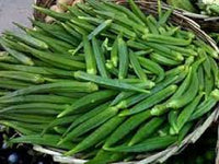 Okra Pusa Sawni Vegetable Seeds