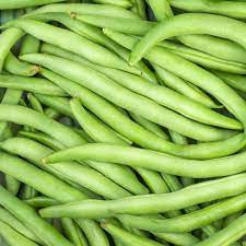 Climbing Bean- Kentucky Wonder Pole