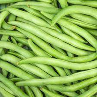 Climbing Bean- Kentucky Wonder Pole