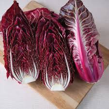Luna Rossa – Radicchio Seed