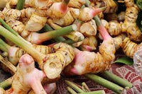 Galangal (Rhizome)