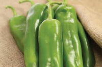 Charger – Anaheim Pepper Seed