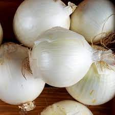 Onion- Gladalan White
