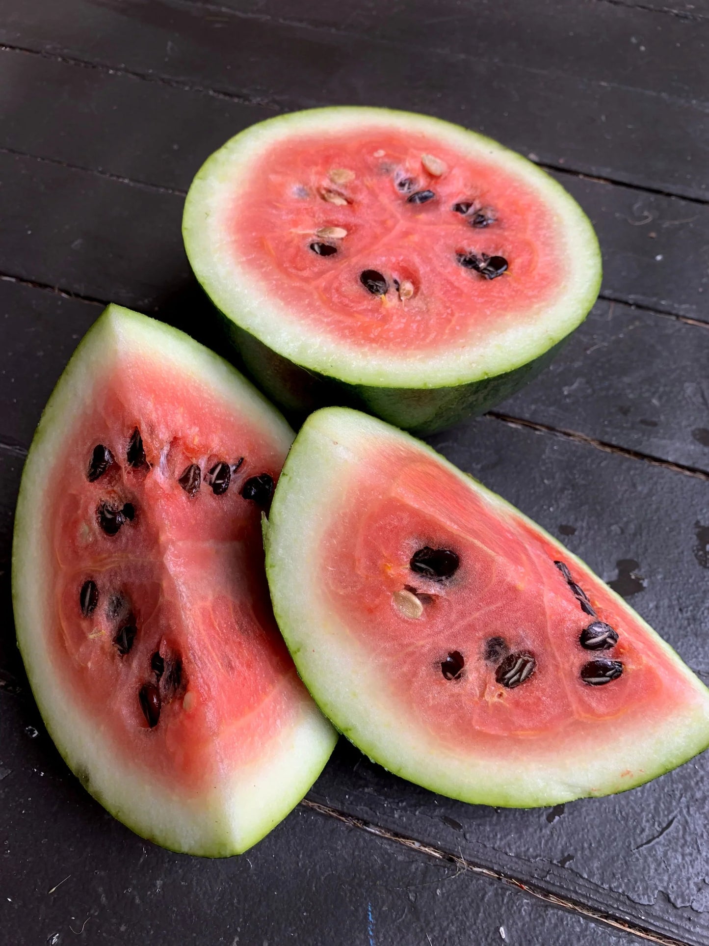 Watermelon- Cekirdegi Oyali