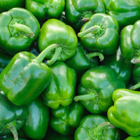 Capsicum Imported Green Vegetable Seeds