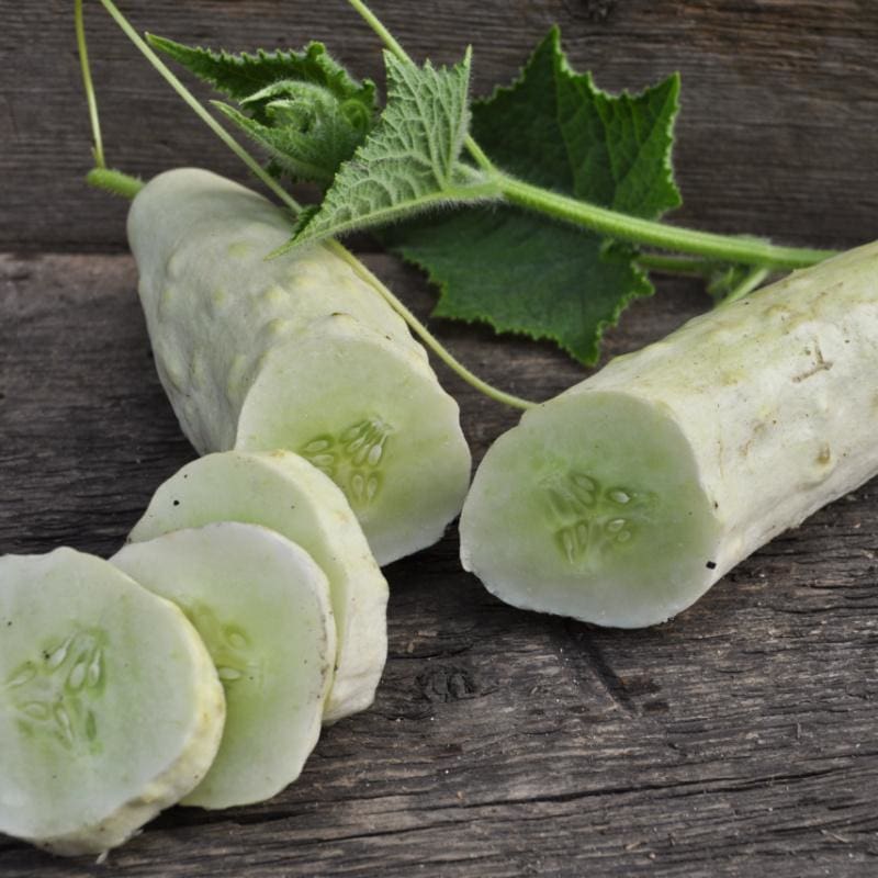 Itachi – Cucumber Seed