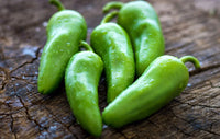 PS11435807 – Jalapeño Pepper Seed