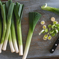 Bandit – Organic Leek Seed
