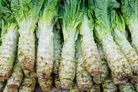 Spring Tower – Celtuce Seeds