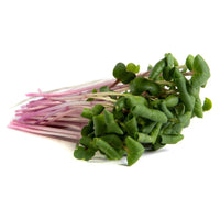Collard, VATES – Microgreen Seed