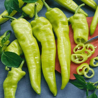 Hungarian Hot Wax Organic Pepper Seeds