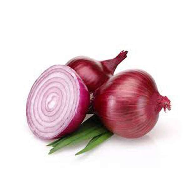 Onion Vegetable Seeds