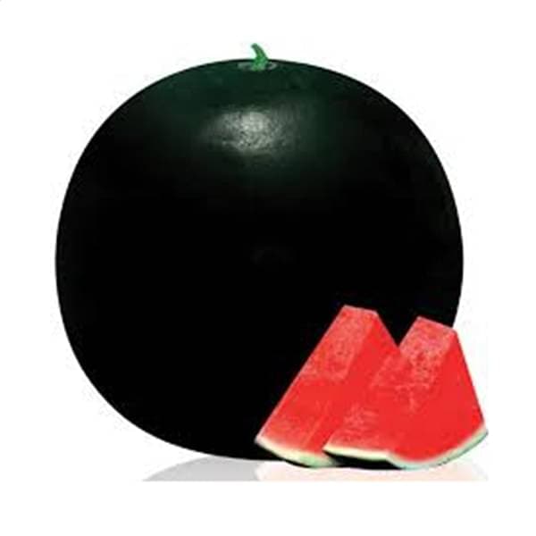 Watermelon Seeds