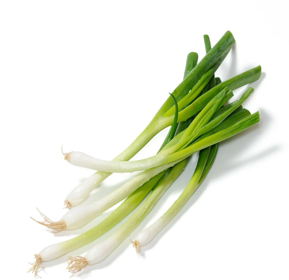 Nabechan – Onion Seed