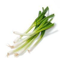 Guardsman – Onion Seed