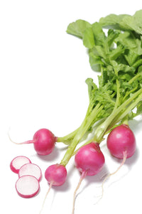 Pink Beauty – Organic Radish Seed