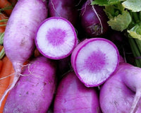 KN-Bravo – Purple Daikon Radish Seeds