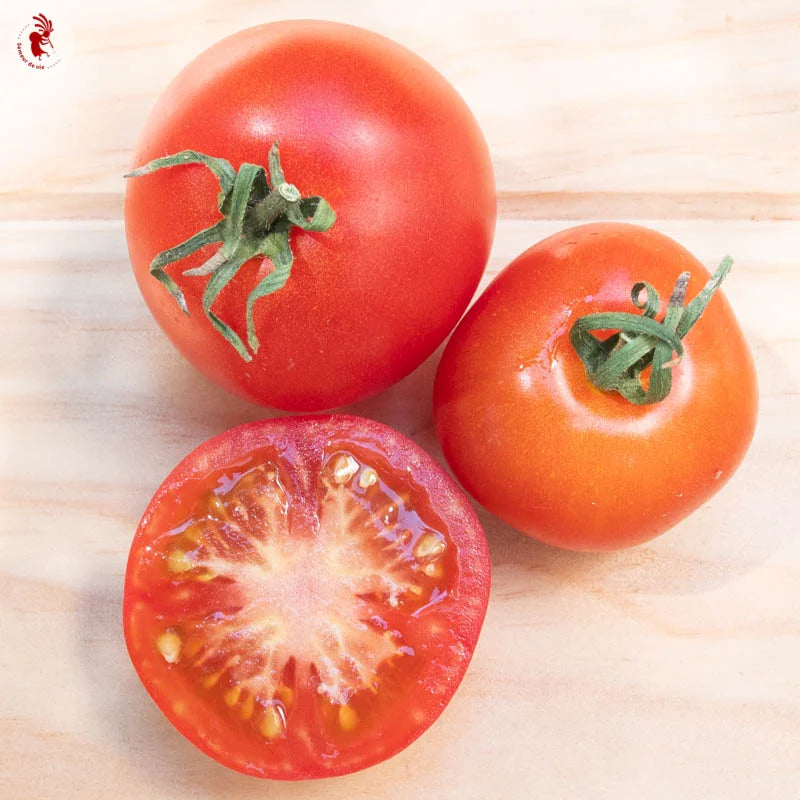 Glacier – Organic Tomato Seed