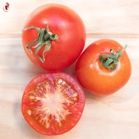 Glacier – Organic Tomato Seed