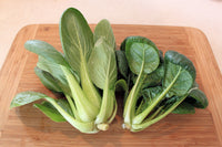 Mei Qing Choi – Bok Choy Seeds