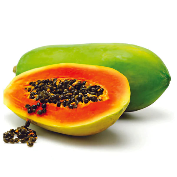 Red lady papaya Carica papaya seeds for planting