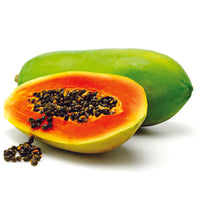 Red Lady Papaya Fruit Seeds for Planting - Growing Exotic Tropical Papayas, Non-GMO Seeds