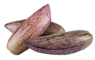 Rare Giant Purple Pepino Fruit Plant (Solanum muricatum) Seeds for Planting - A Rare and Sweet Melon-Like Fruit to Enhance Your Garden