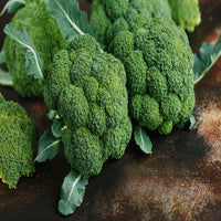 Broccoli Green Vegetable Seeds