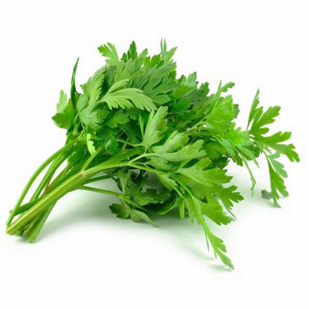 Parsley – Microgreen Seed