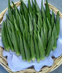 Okra Arka Anamika Vegetable Seeds