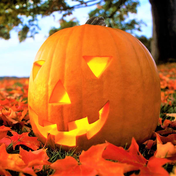 Orange Smoothie – Pumpkin Seed