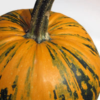 Kakai – Organic Pumpkin Seed