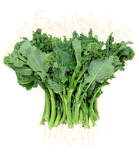 Rapini