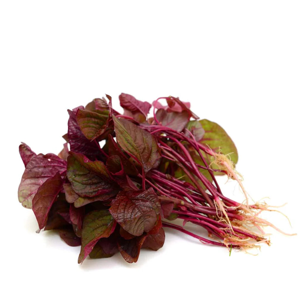 Red Leaf Vegetable Amaranth – Green Seed
