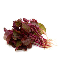 Red Leaf Vegetable Amaranth – Green Seed
