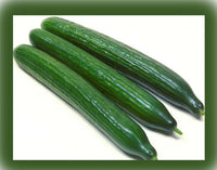 Arola Organic Cucumber Vegetable Seeds for Planting - Heirloom & Non-GMO Garden Seeds