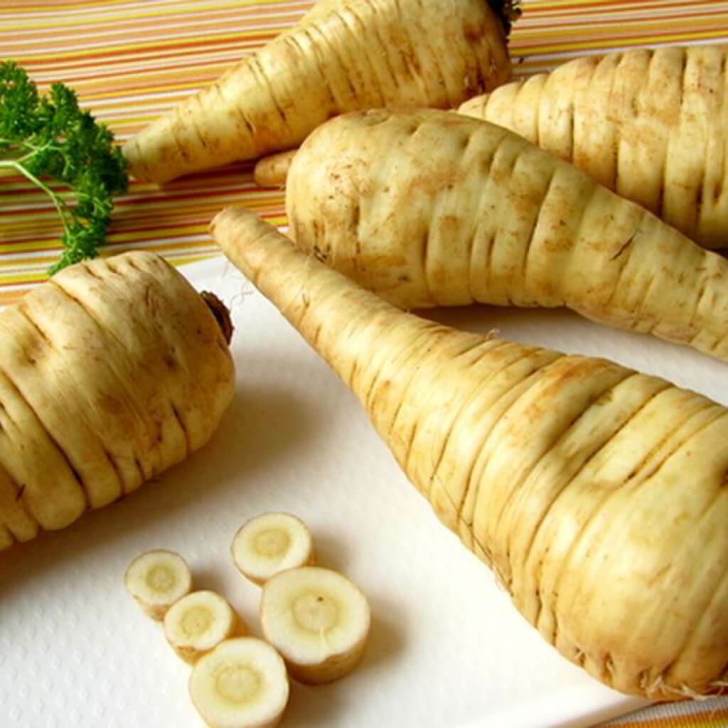 Parsnip- Hollow Crown