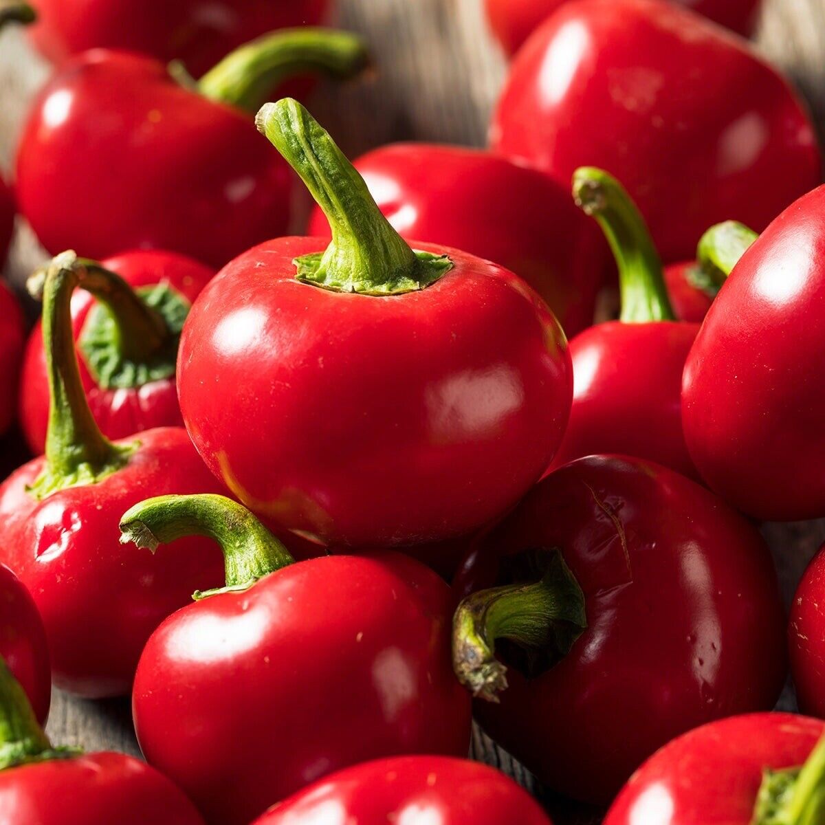 Chilli  Hybrid Red Pearl Queen Vegetable Seeds