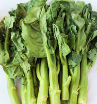 Chinese Broccoli- Jade