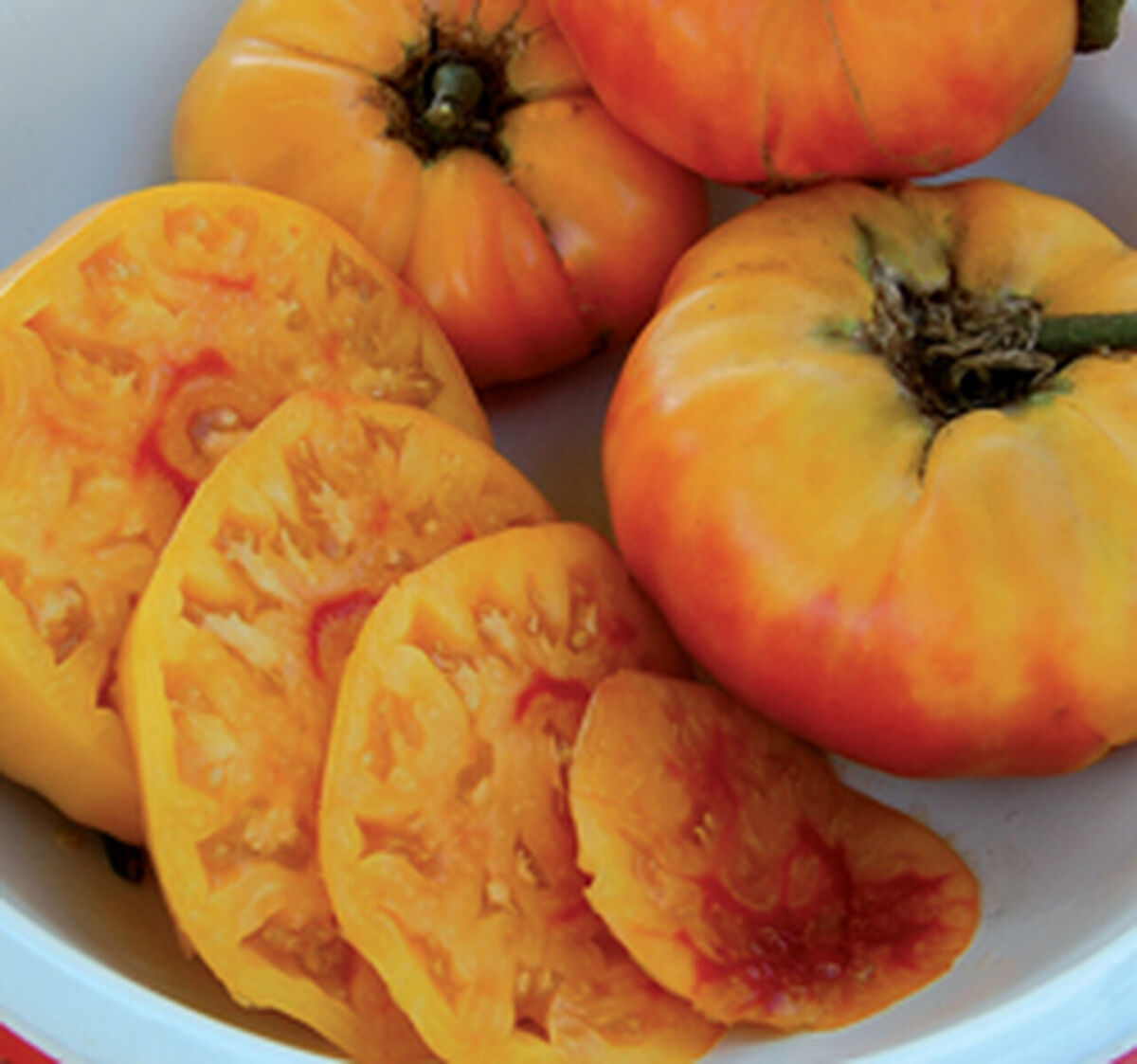 Margold – Tomato Seed