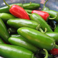 Pepper Jalapeno Vegetable Seeds