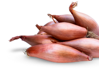 Shallot- Figaro Echalion