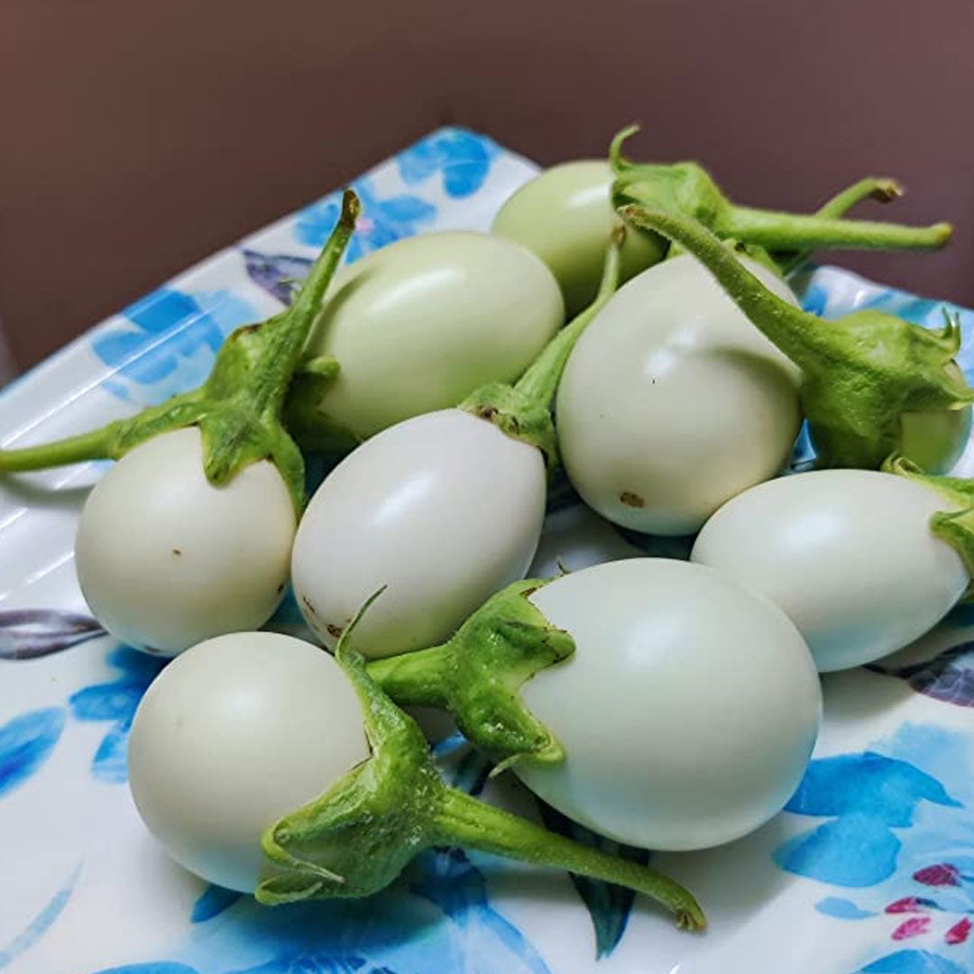 Brinjal Hybrid White Vegetable Seeds