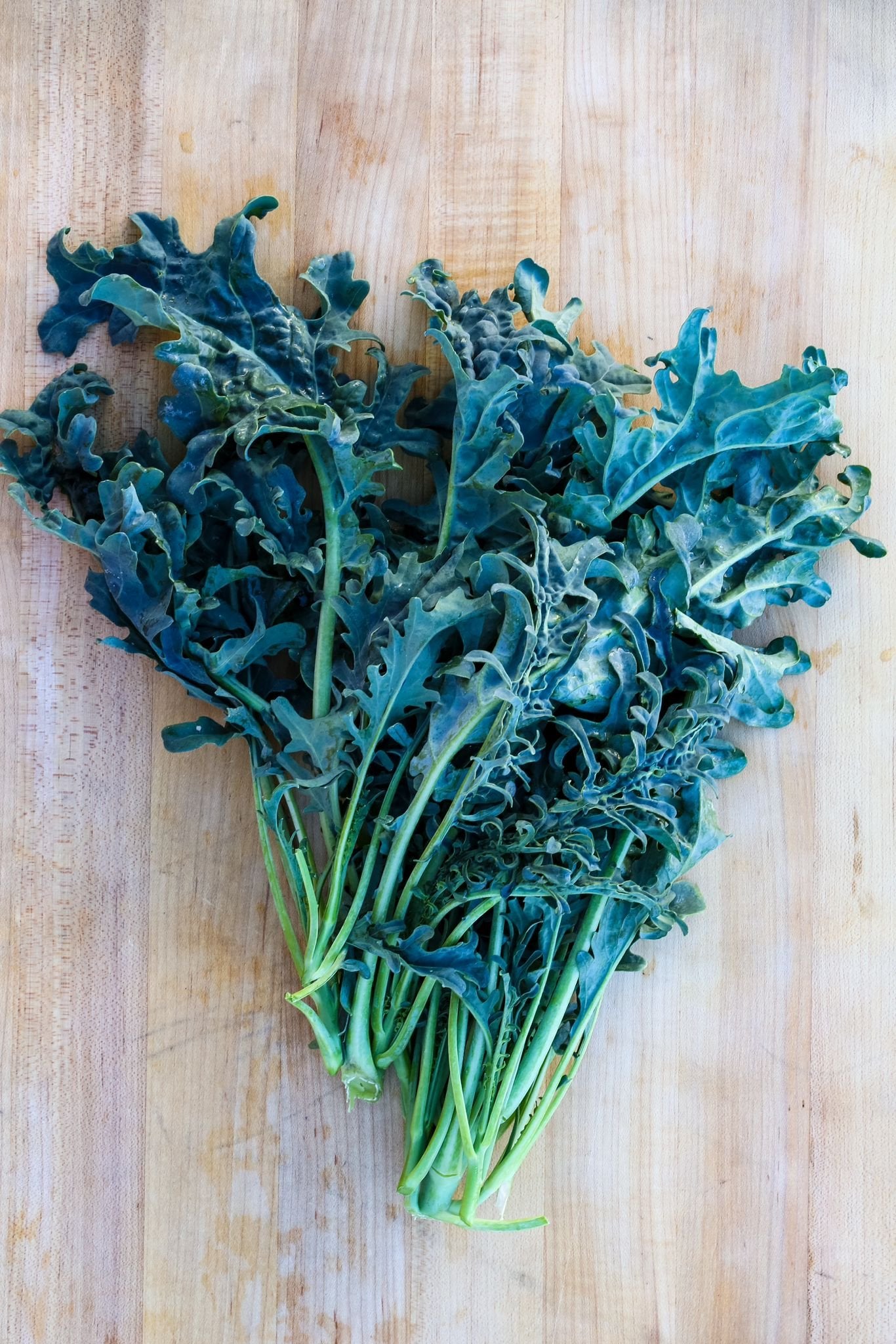 Spigariello Riccia – Broccoli Seed