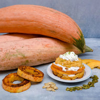 North Georgia Candy Roaster – Hubbard Squash Seed