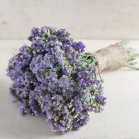 Statice- Heavenly Blue