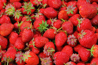Strawberry- Adina (Runner x5)