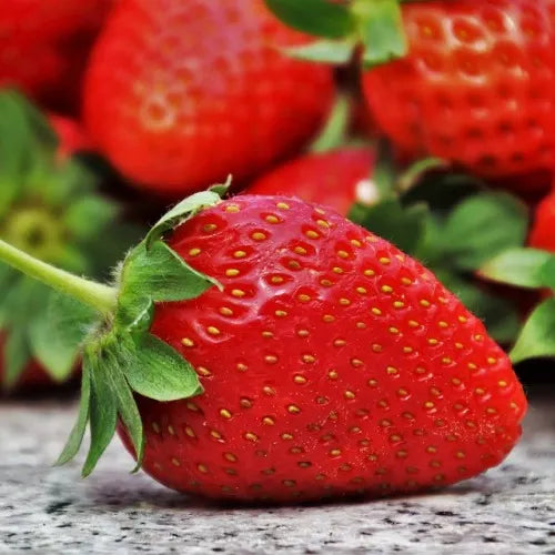 Strawberry Seeds
