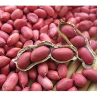 Red Peanut Seeds