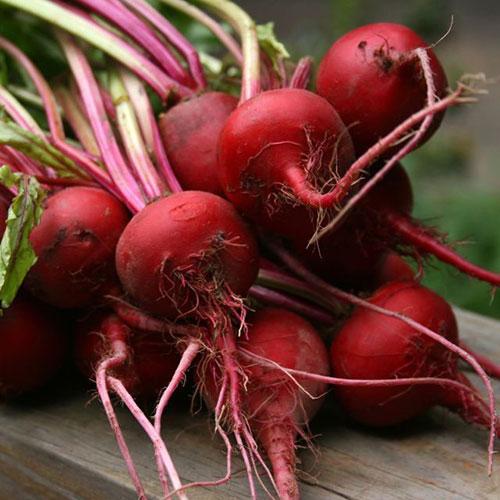 Fresh Pak – Beet Seed